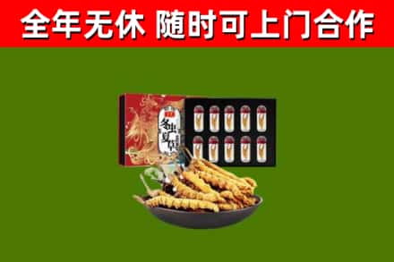 衡山县回收冬虫夏草价格