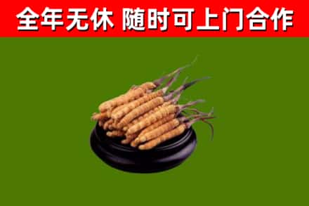 衡山县烟酒回收冬虫夏草.jpg
